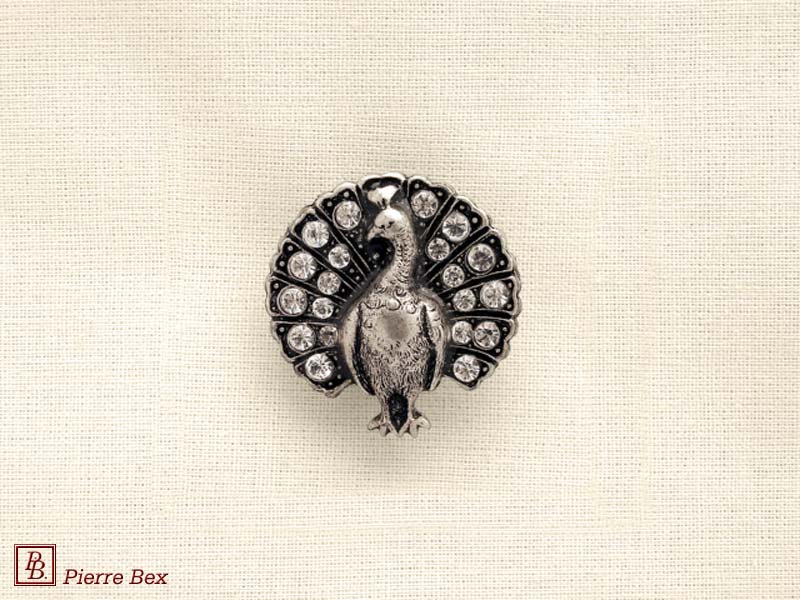 Pierre-Bex Broche con strass pavo real 45356-25