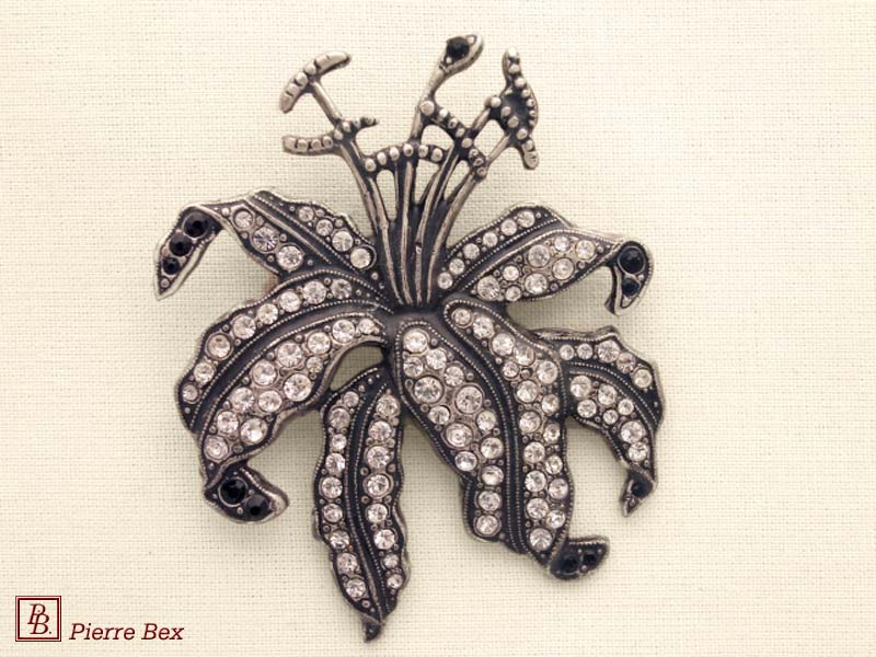 Pierre-Bex Gran broche con strass orquídea 45586-05